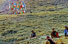 Tibet (238 von 257).jpg